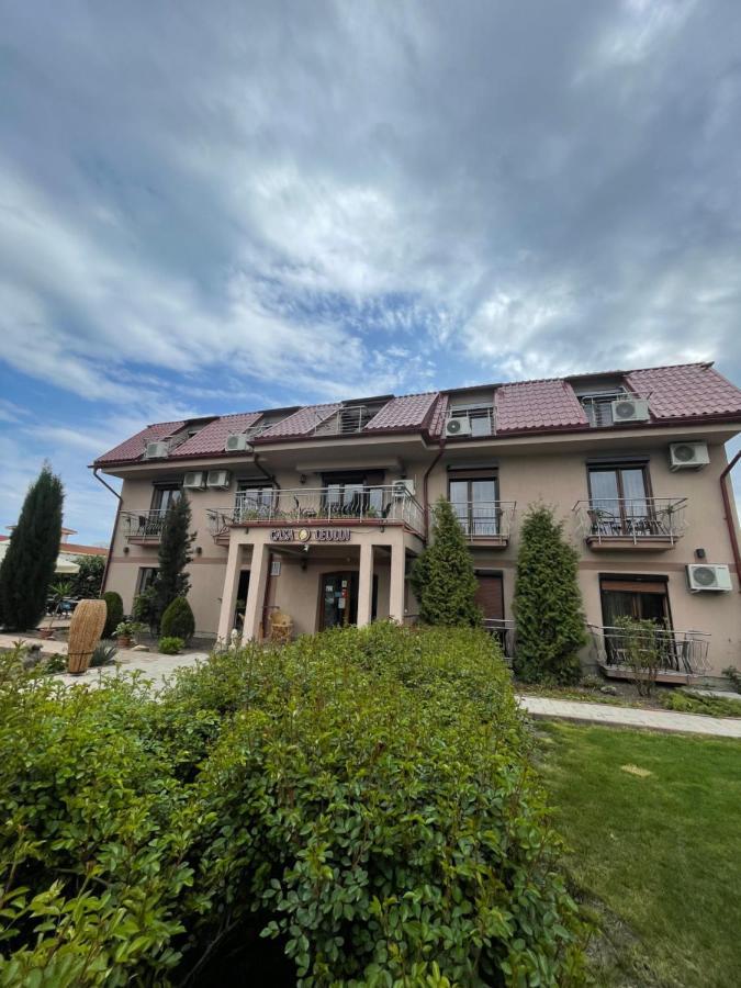 ホテル Ametist Casa Leului ナボダリ エクステリア 写真
