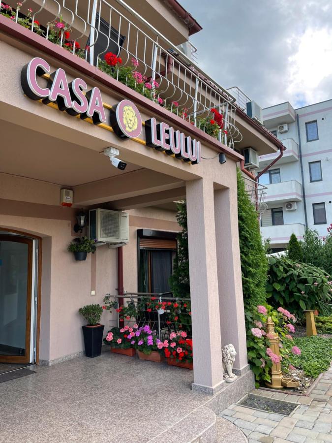 ホテル Ametist Casa Leului ナボダリ エクステリア 写真