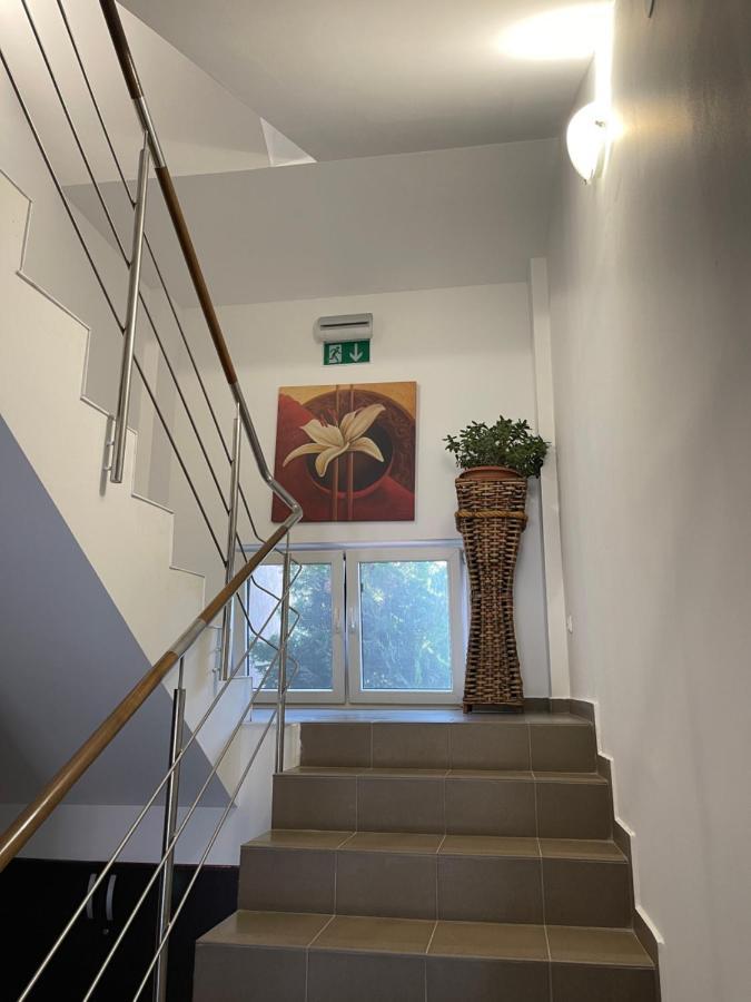 ホテル Ametist Casa Leului ナボダリ エクステリア 写真