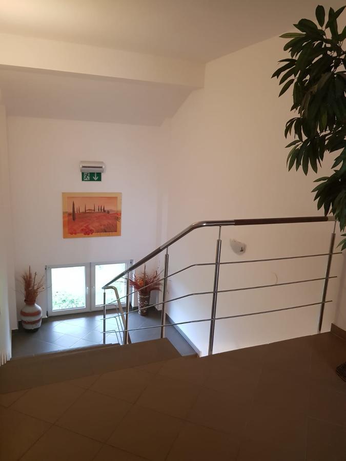ホテル Ametist Casa Leului ナボダリ エクステリア 写真